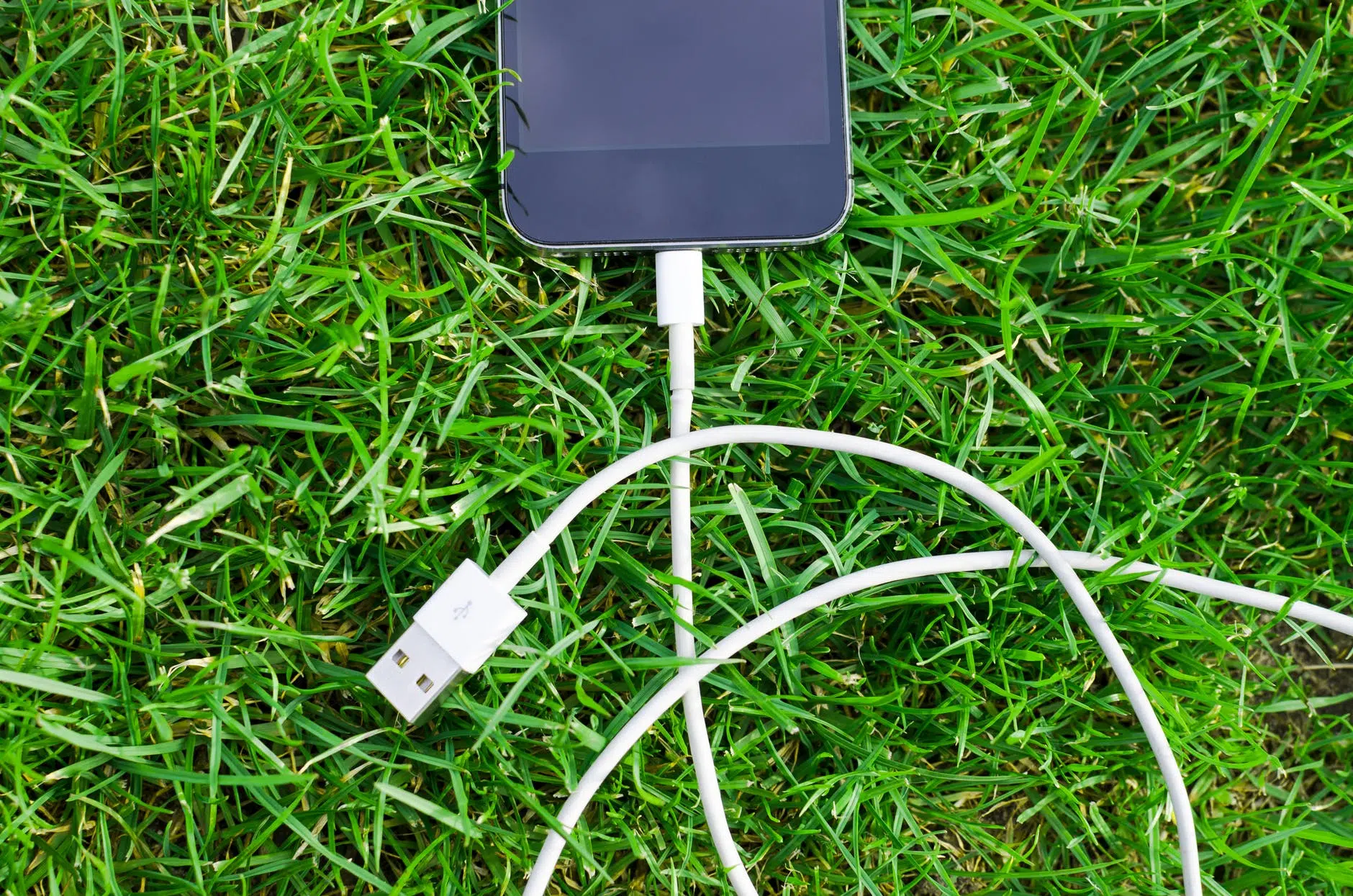 how to import photos on Windows Phone guide : how to import photos phone on a PC